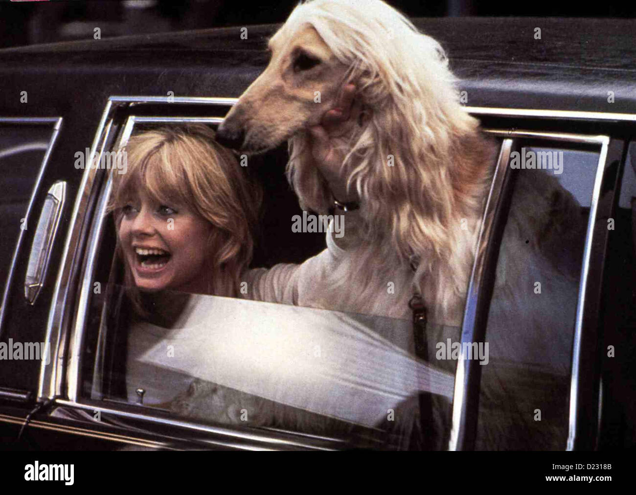 Alles Tanzt Nach Meiner Pfeife Protocol Goldie Hawn Nach einem Fernsehinterview wird der Alles Tanzt Nach Meiner Pfeife Protocol Goldie Hawn Nach einem Fernsehinterview wird der