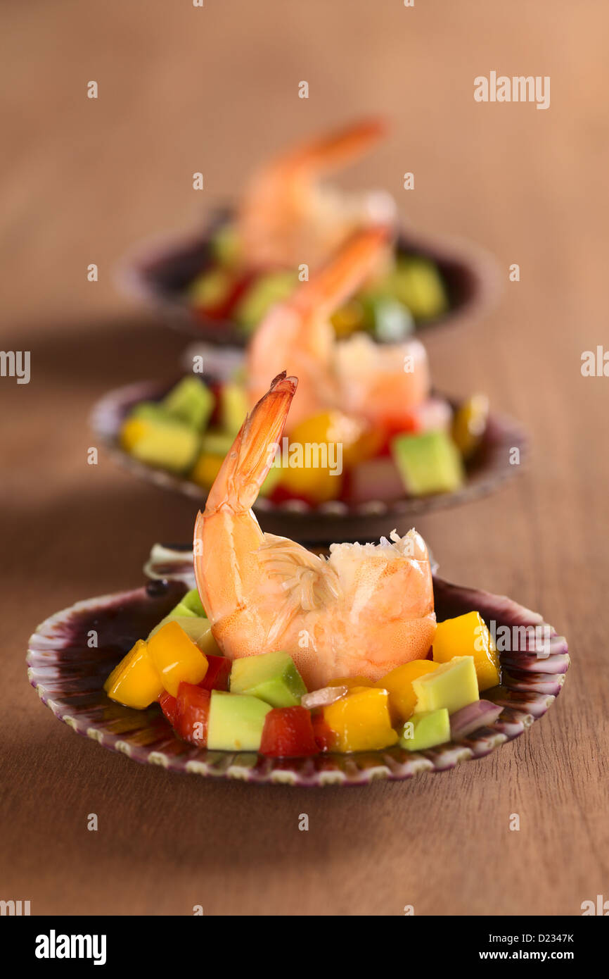 Fresh cooked king prawn with a mix of avocado, mango, red bell pepper, onions on scallop shells served as appetizer Stock Photo