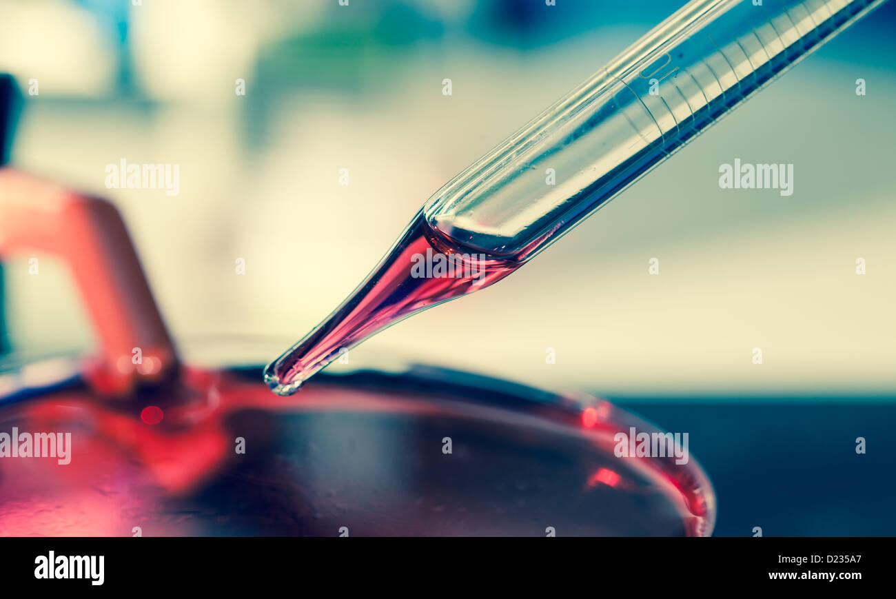 Pipette and test tube chemistry lab Stock Photo