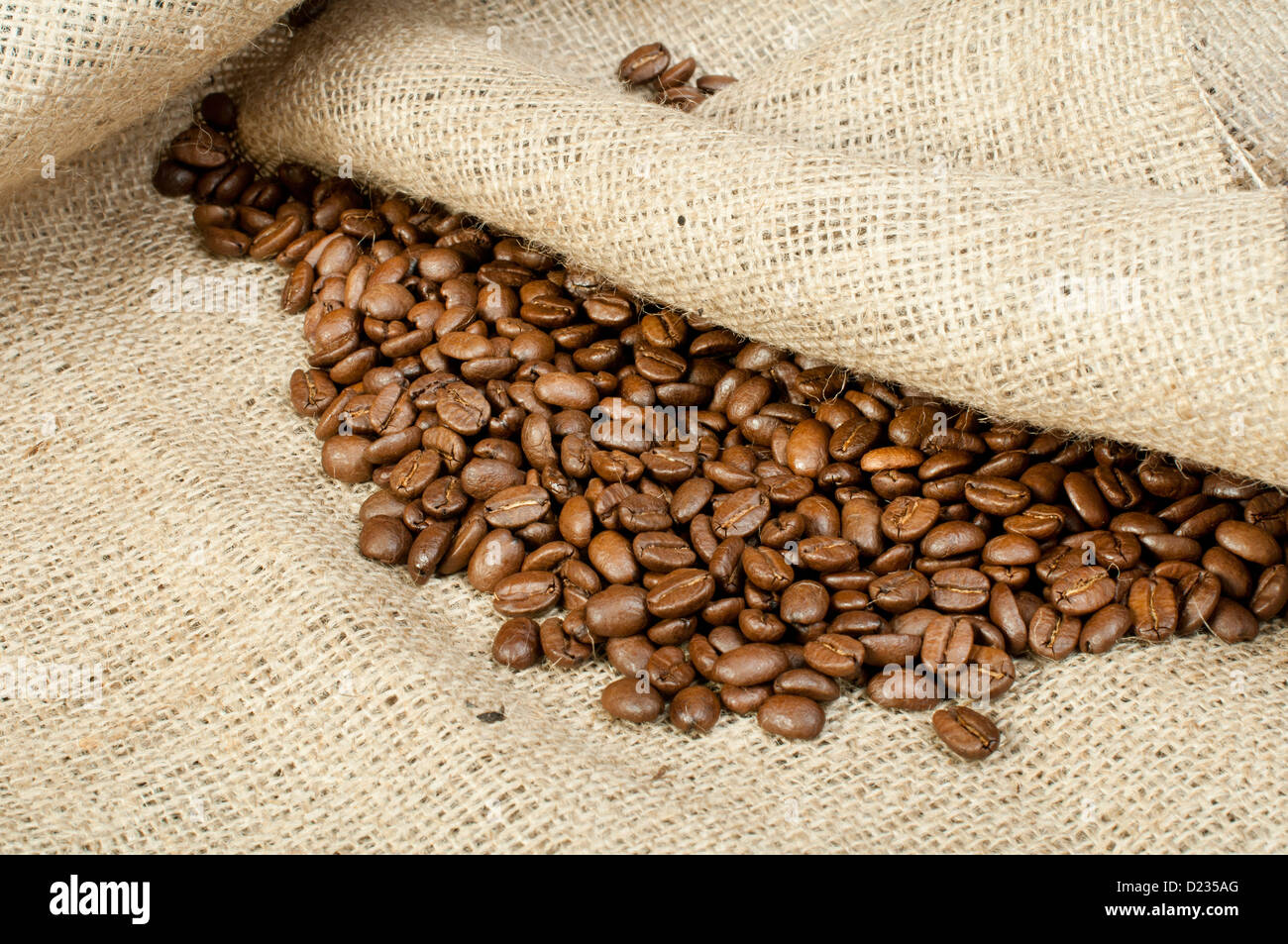 Coffee beans on tat. Copy space Stock Photo