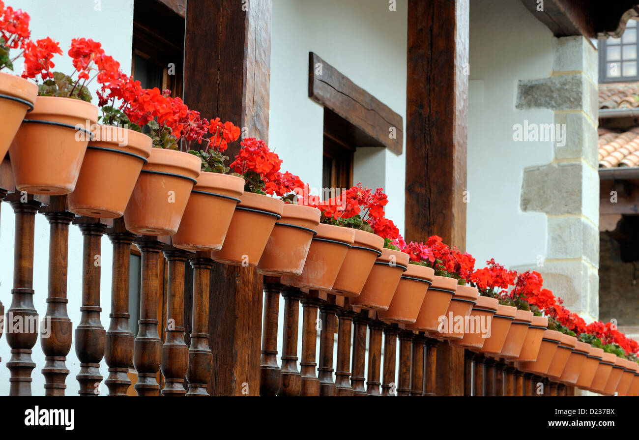 A row of red geraniums in terracotta pots lines a balcony. Santillana del Mar, Cantabria, Spain Stock Photo