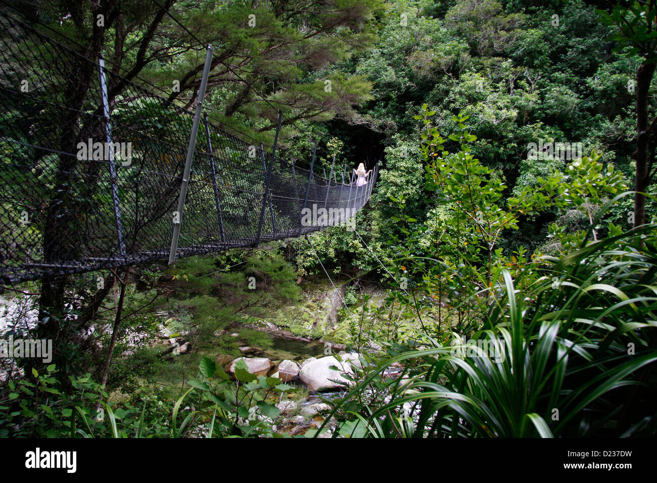 A bridge crosses the Wainui stream half way to Wainui Falls, a kilometre inland from Tata Beach road. Stock Photo