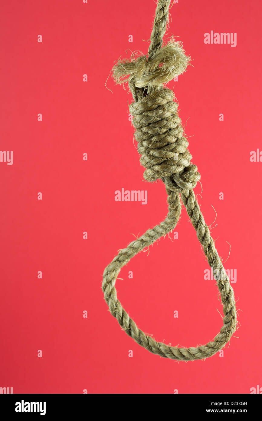Rope noose isolated on red background Stock Photo Alamy