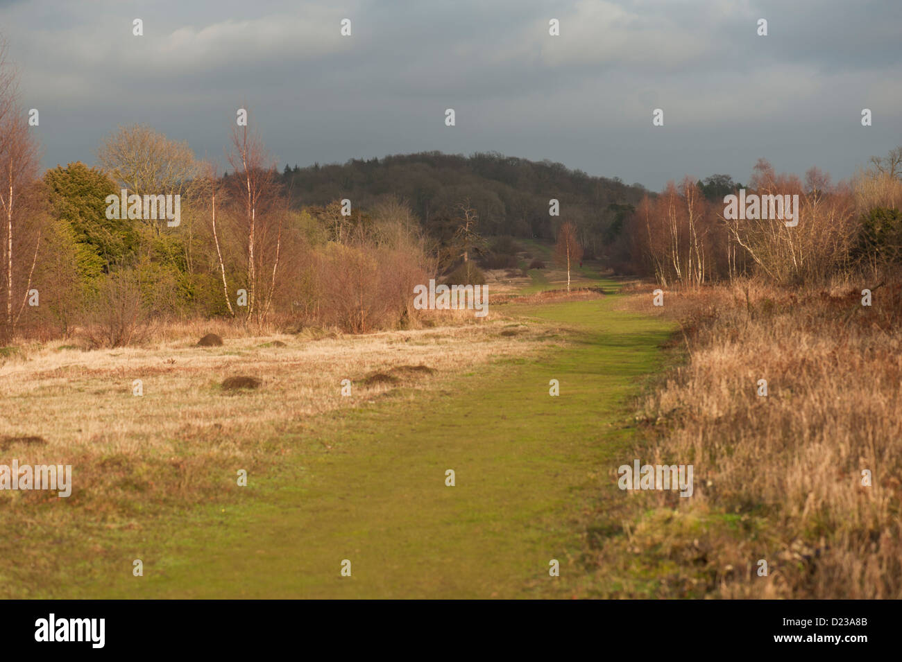 Mickleham hires stock photography and images Alamy