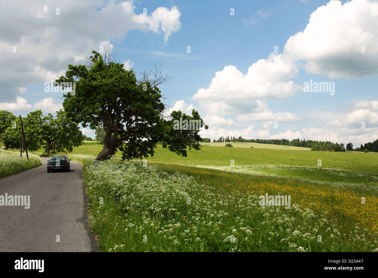 Country road czech republic hi-res stock photography and images - Alamy