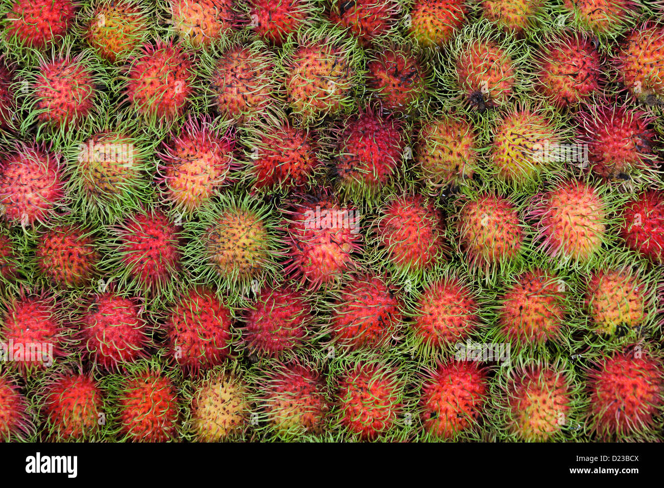 Red hairy fruit hi-res stock photography and images - Alamy