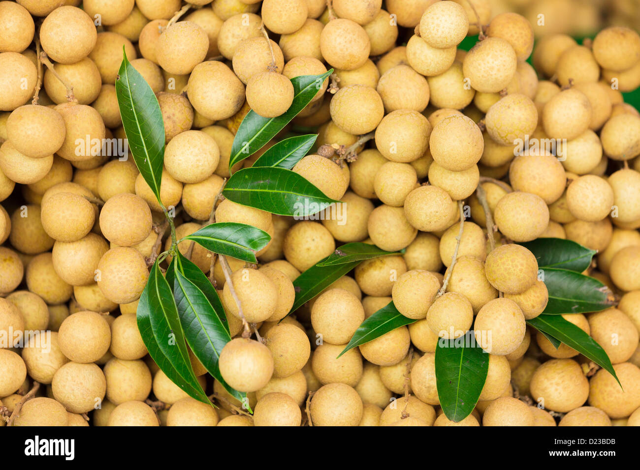 Fresh Longan fruits in market Stock Photo Alamy