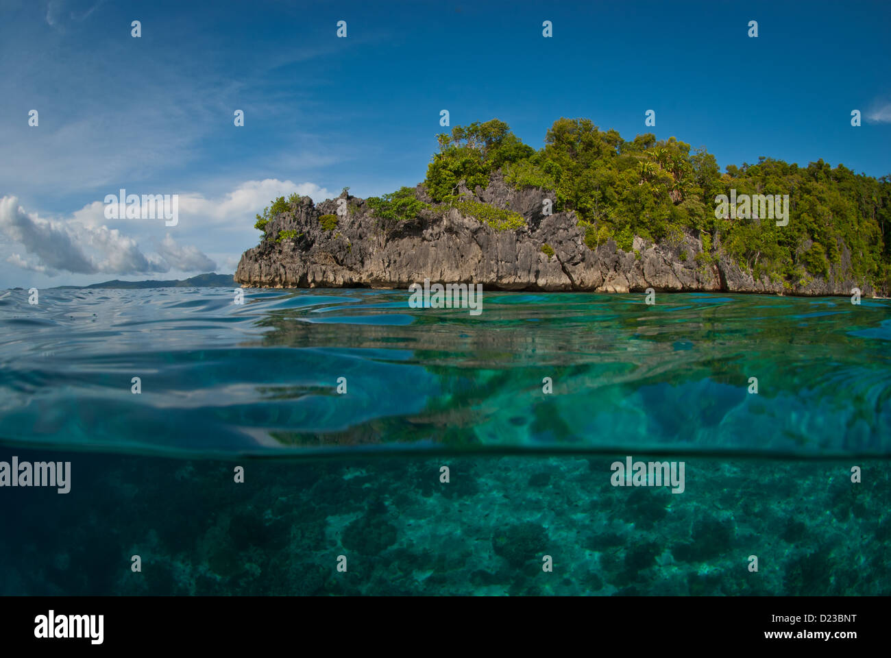 An Over Under Wit H The Island And The Underneath Coral Reef Below The Sea Surface On A Sunny Day With Deep Blue Sky Stock Photo Alamy