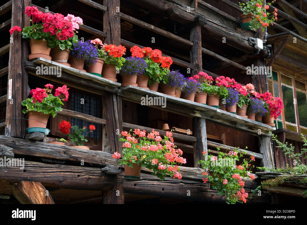 Piemonte: Pedemonte - Walser house detail - geraniums in pots Stock Photo