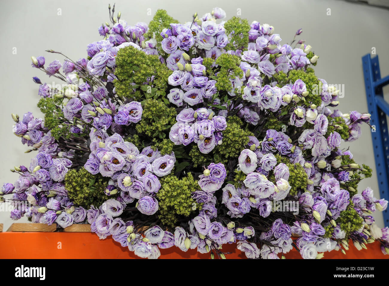 Mauve Flower Bouquet Stock Photo - Alamy