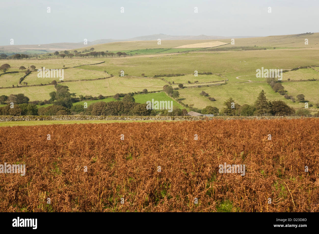view over Devon fields Stock Photo
