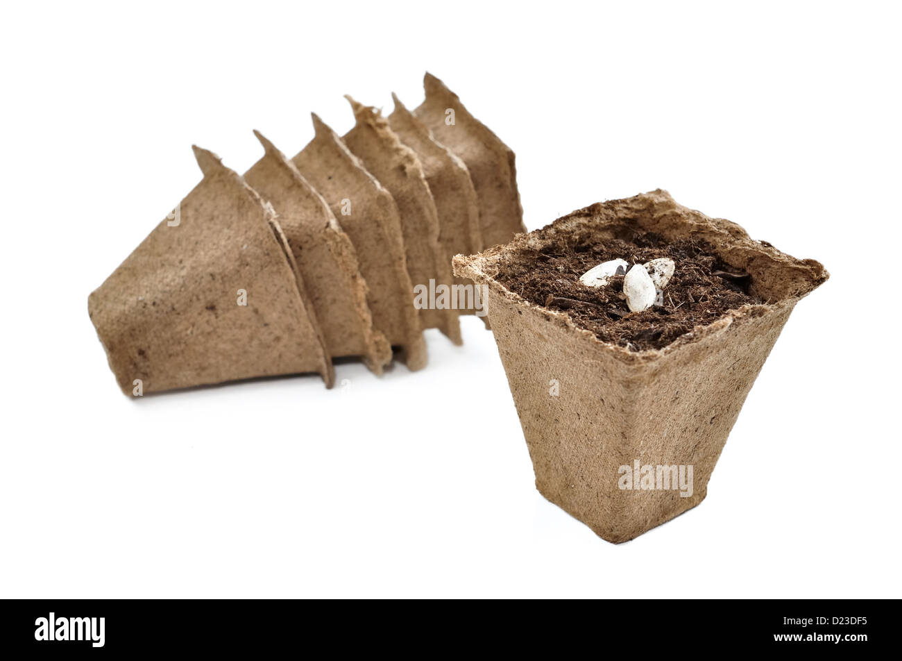 biodegradable peat pots for seedlings isolated on white background Stock Photo
