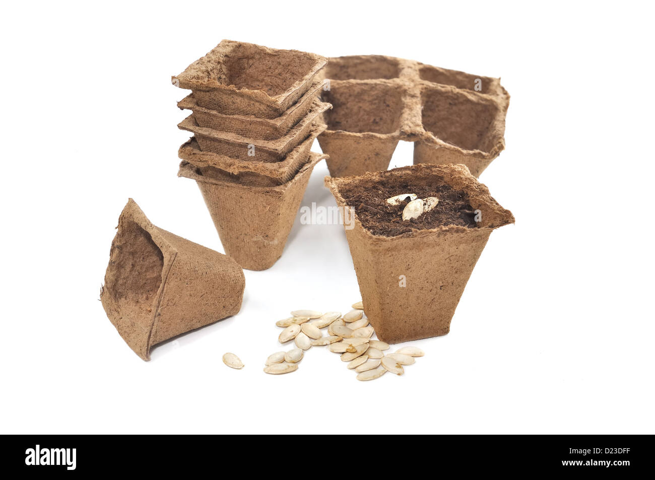 biodegradable peat pots with seeds for planting isolated on white background Stock Photo