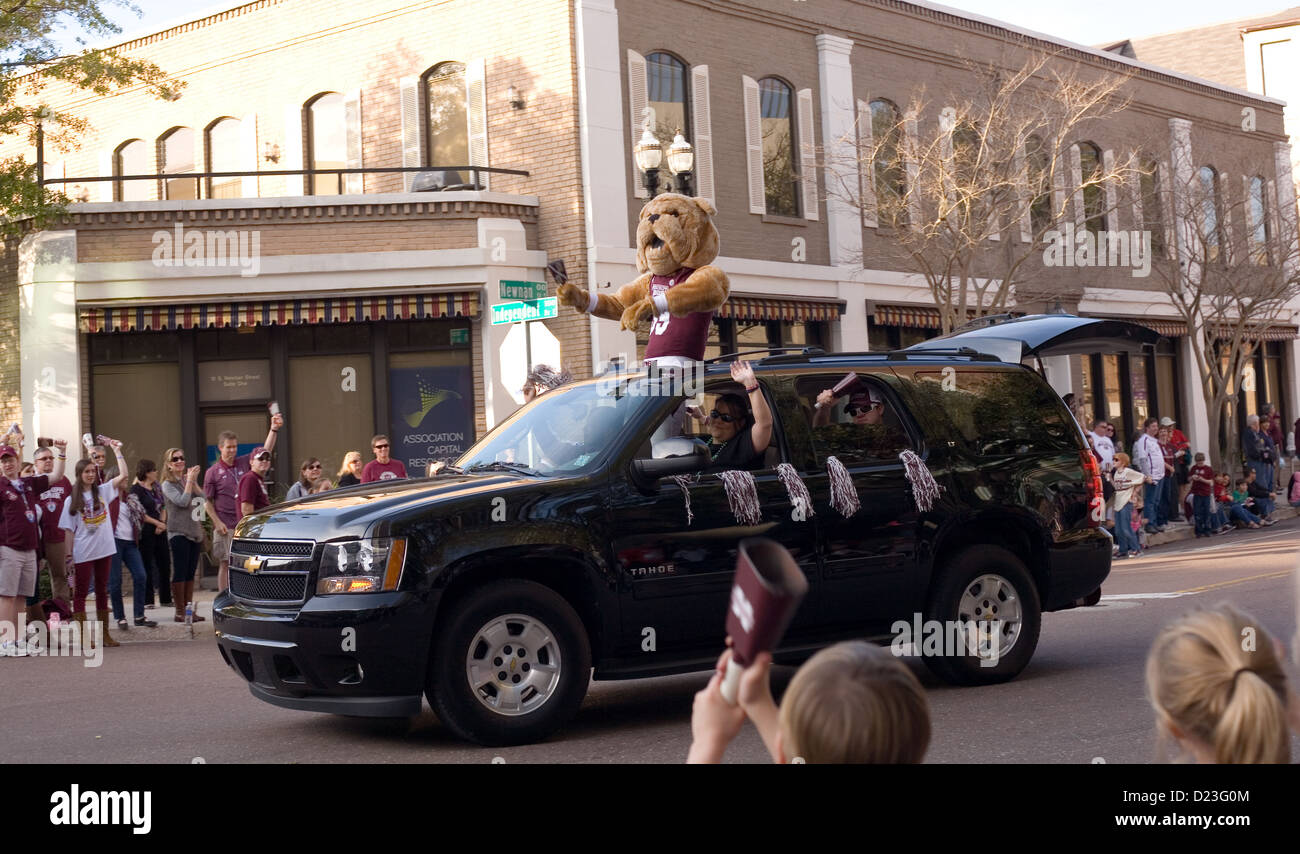 Bully the Mississippi State University Mascot in the 2013 Gator Bowl Parade in Jacksonville Florida - December 31, 2012 Stock Photo