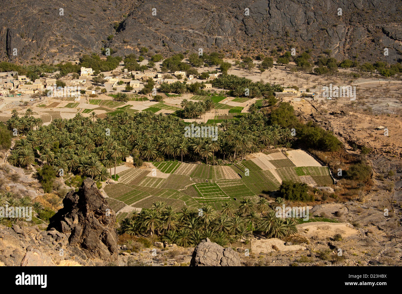 View from above on irrigated plots and palm groves at the oasis Haat in a valley of the Al Hajar mountains, Sultanate of Oman Stock Photo