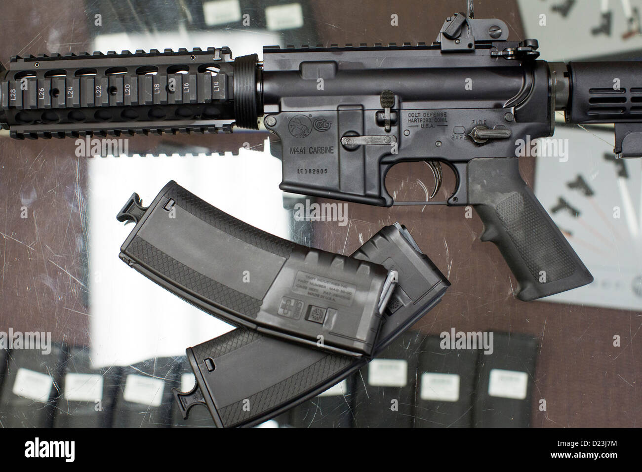 A Colt Defense M4A1 Carbine assault rifle on display at a gun shop with high capacity 30 round magazines.  Stock Photo