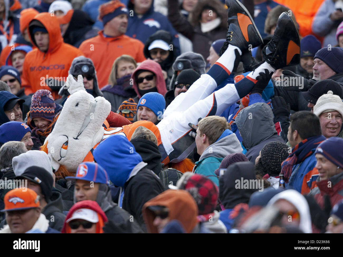 Denver, Colorado, USA. 12th January 2013. Denver Broncos mascot MILES does crowd surfing during the start of the game between the Broncos and the Ravens at Sports Authority Field at Mile High Saturday afternoon. The Broncos lose to the Ravens 38-35 in Double OT. (Credit Image: © Hector Acevedo/ZUMAPRESS.com) Stock Photo