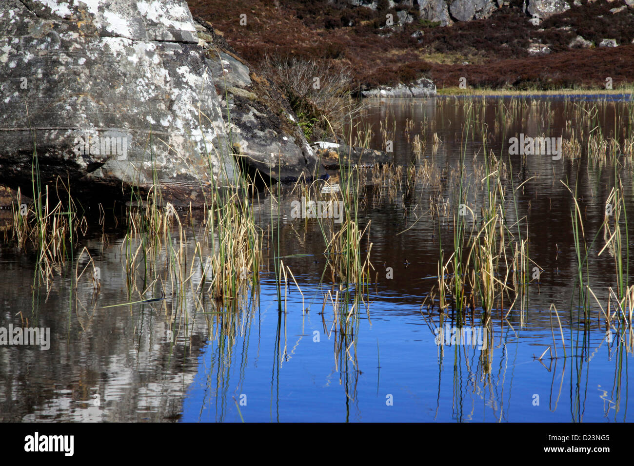 A small lochan in the Flow Country, near Stour in Sutherland, Scotland, UK. Stock Photo
