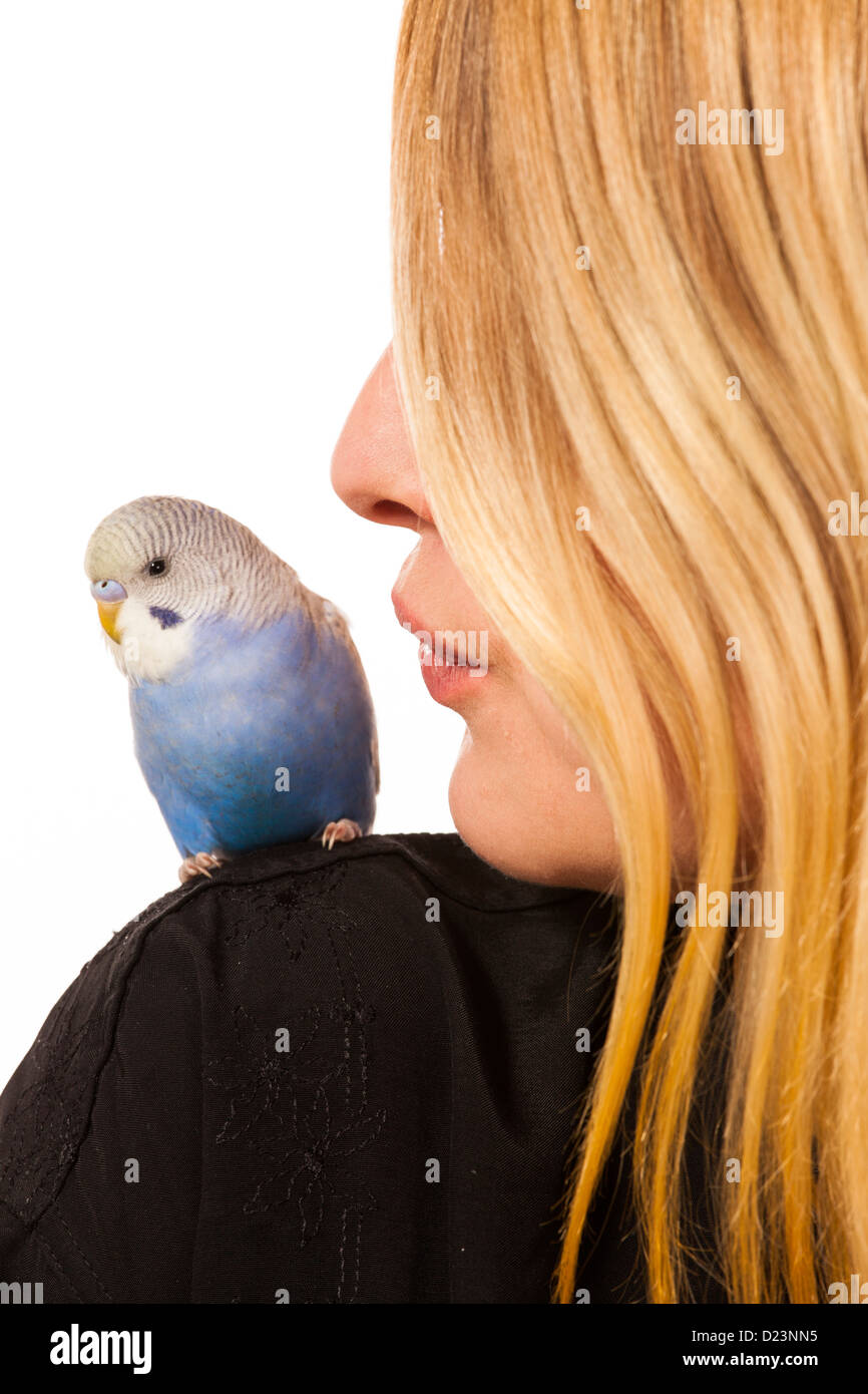 Friendly parakeet sitting on a womans shoulder Stock Photo