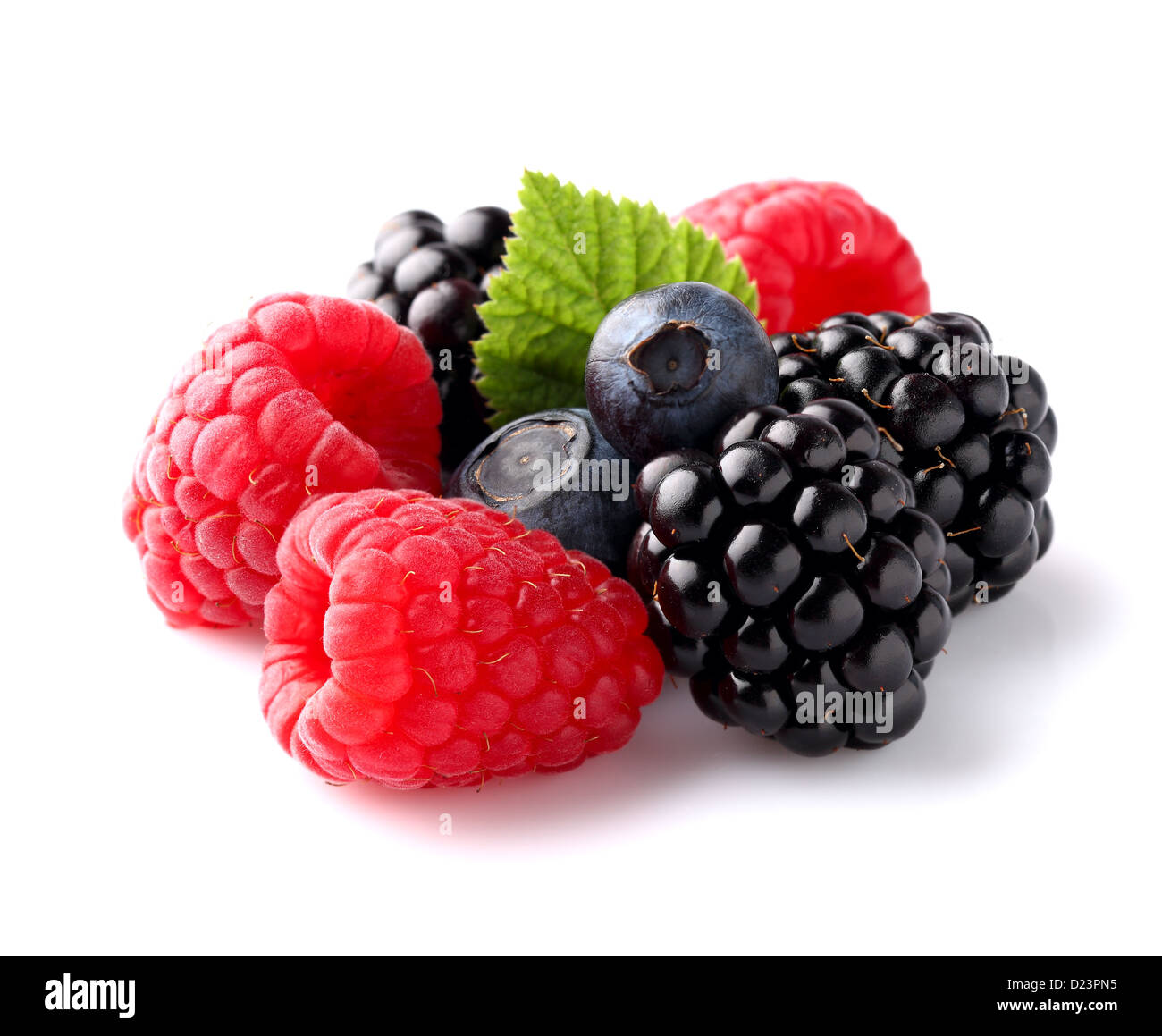 Berry in nature Cut Out Stock Images & Pictures - Alamy