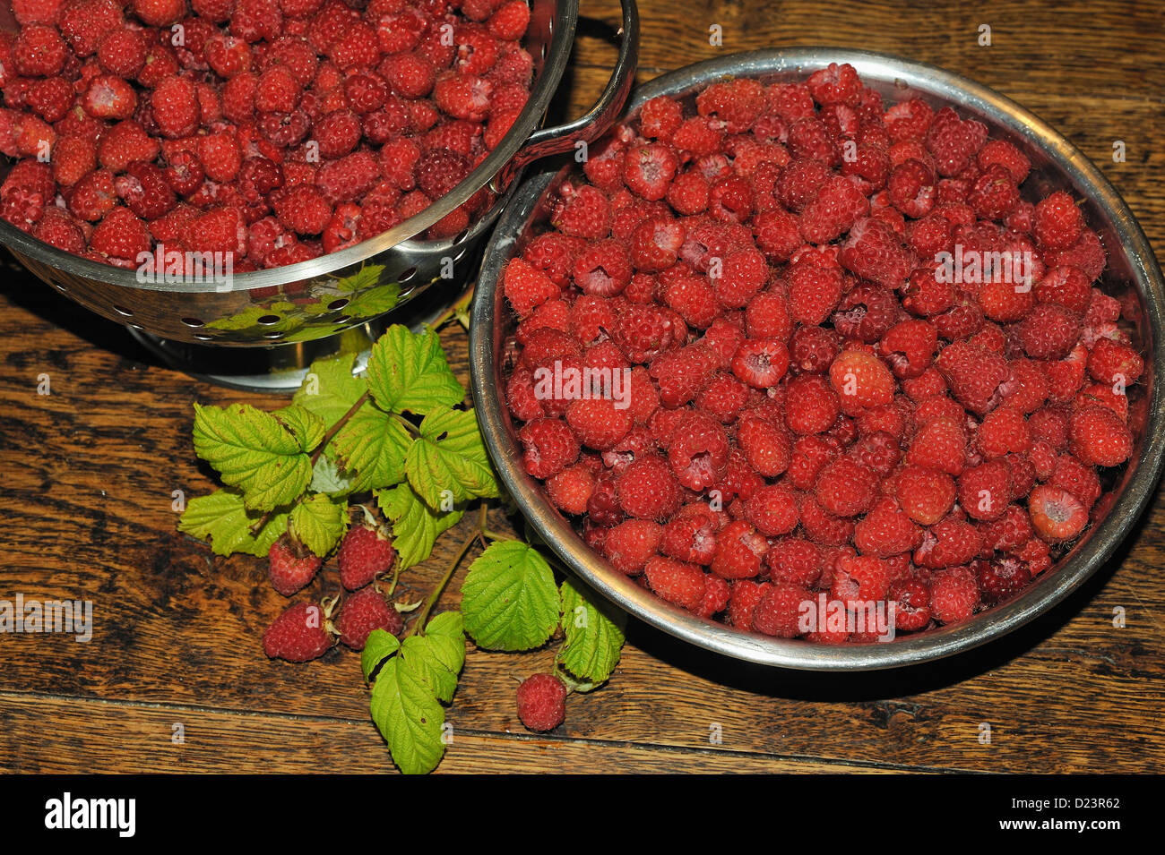 Raspberries growing in containers hi-res stock photography and images ...