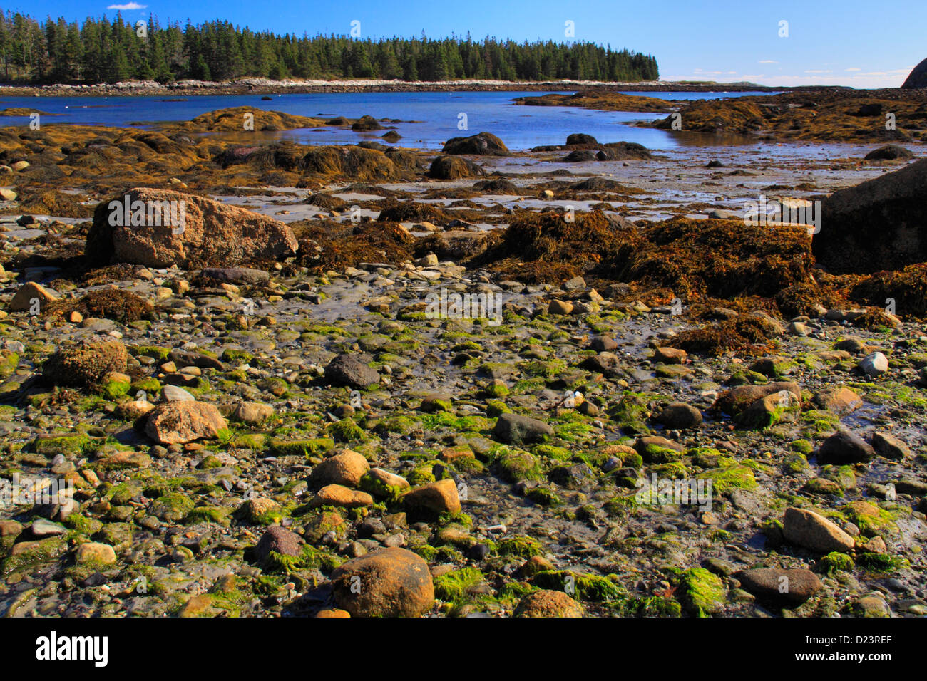 Lanes Island Nature Conservancy Preserve, Vinalhaven Island, Maine, USA
