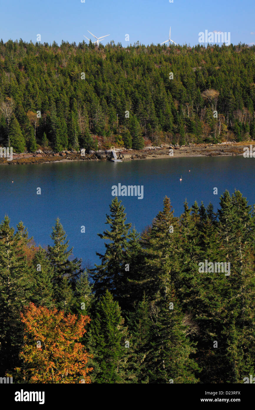 Tiptoe Mountain Trail, Tiptoe Mountain Town Park, Vinalhaven Island