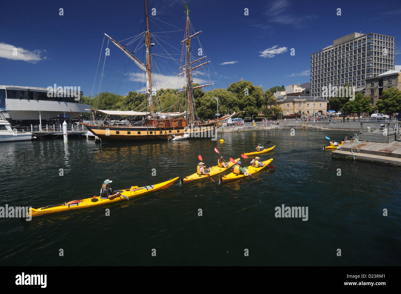 Kayaking in the marina, Hobart, Tasmania, Australia. No MR or PR Stock Photo