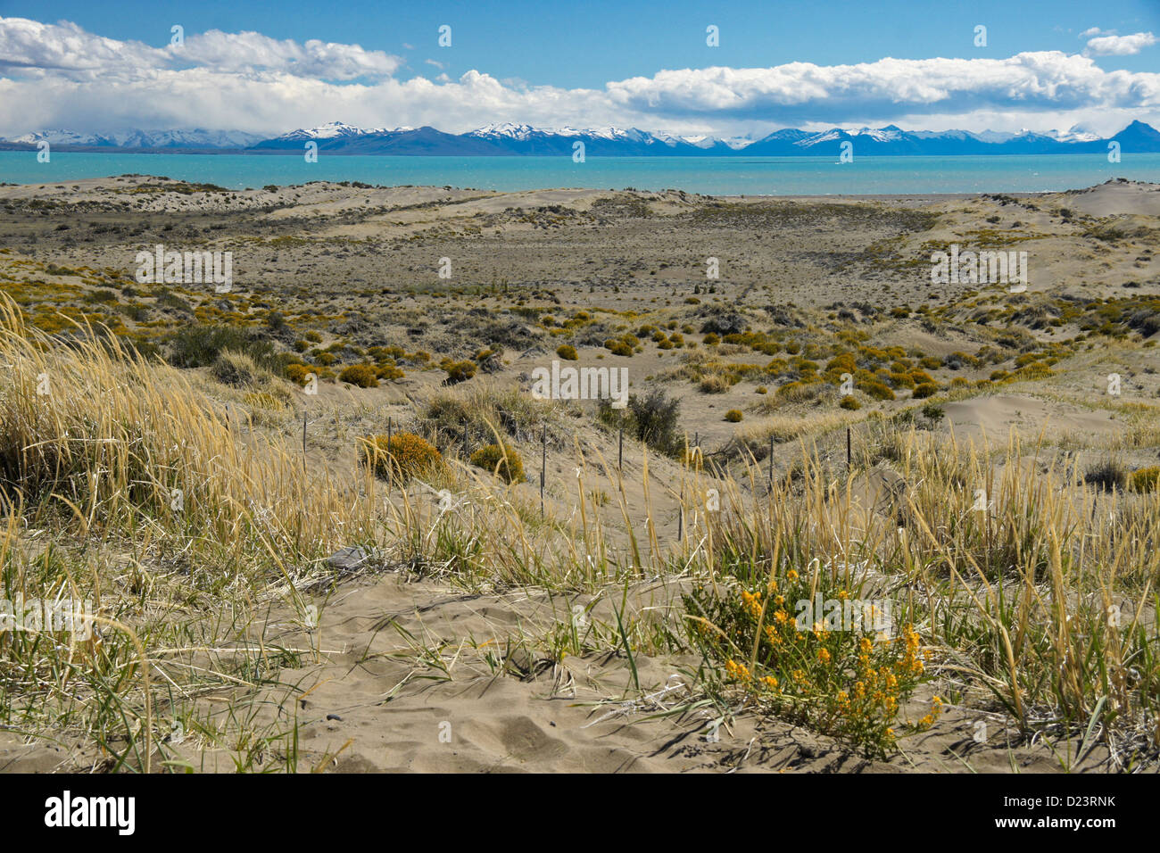 Lago Viedma and Andes Mountains, Patagonia, Argentina Stock Photo