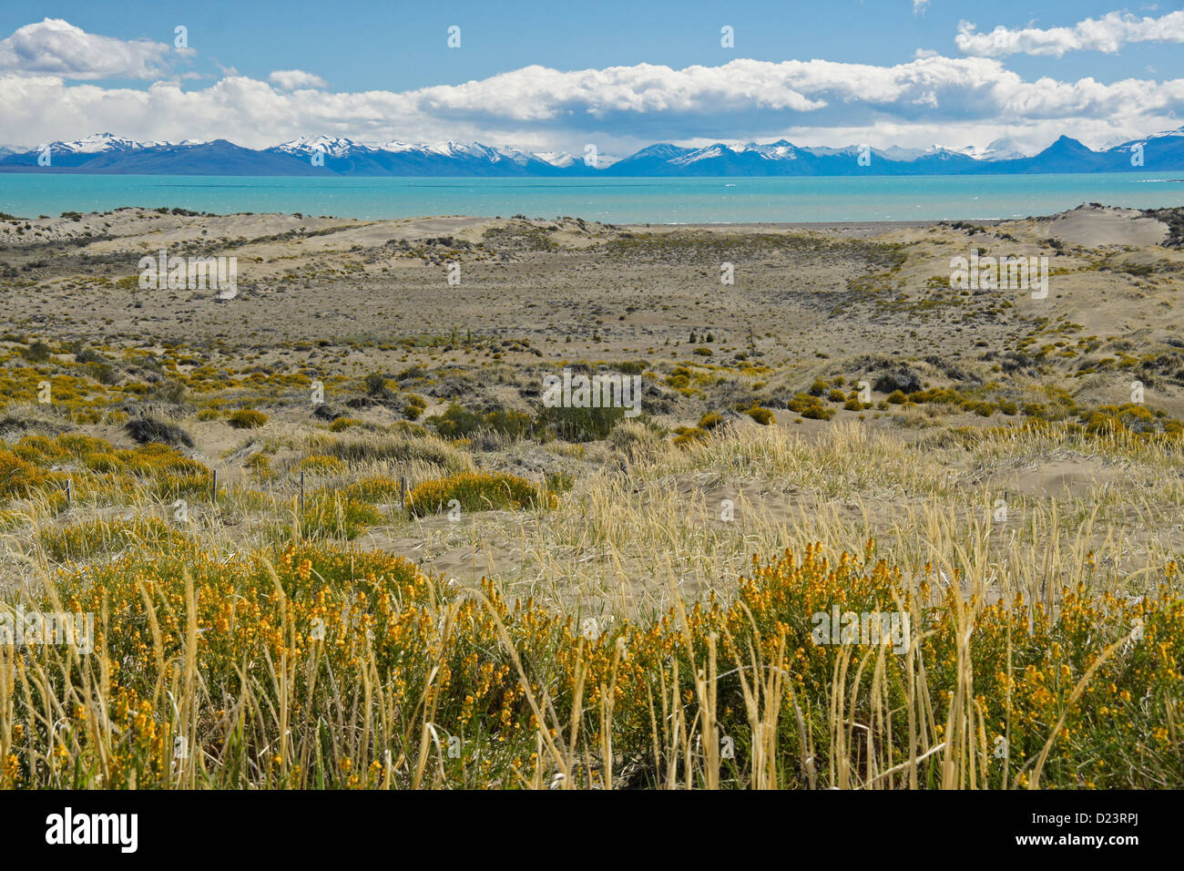 Lago Viedma and Andes Mountains, Patagonia, Argentina Stock Photo