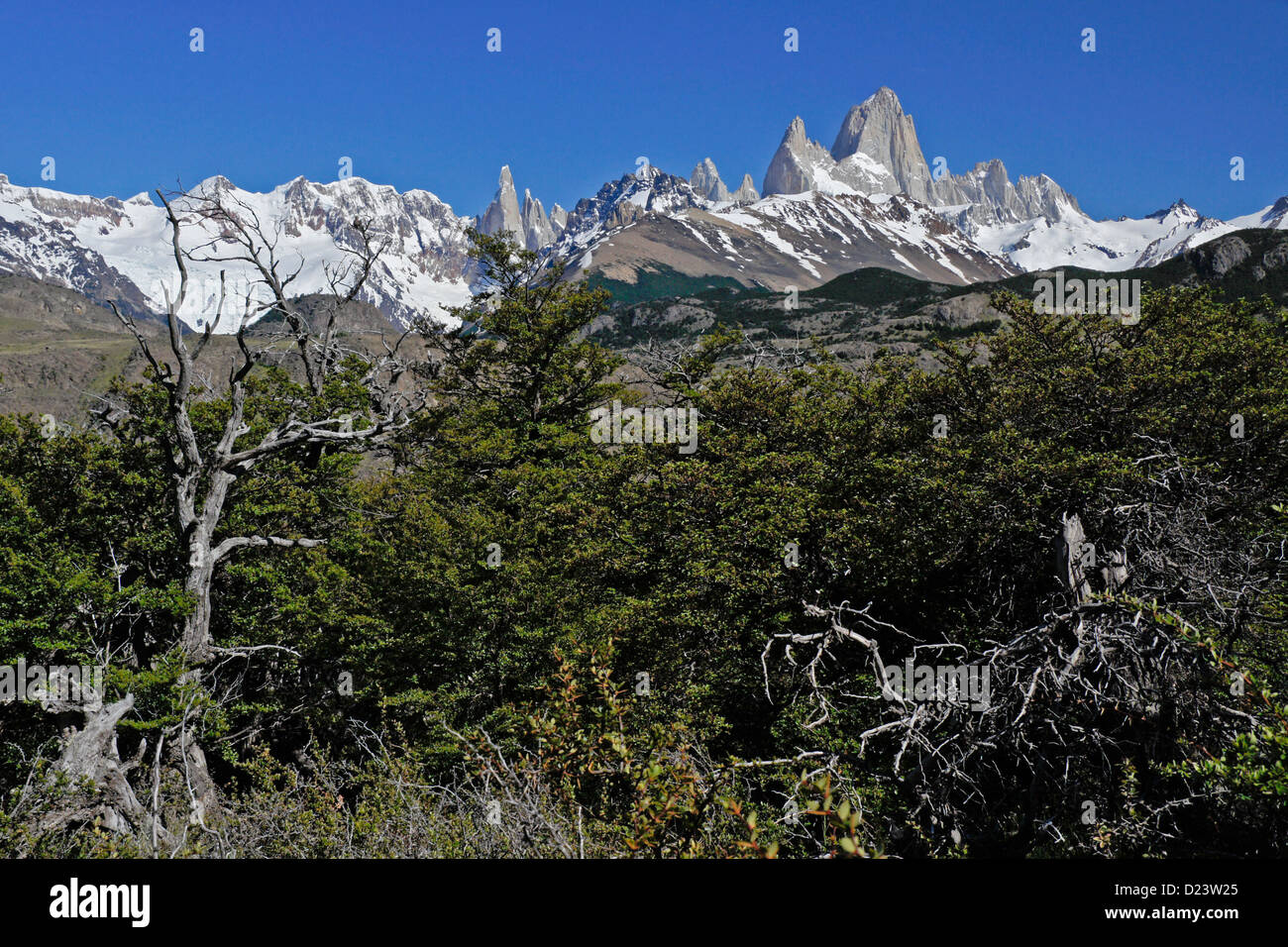 Mt. Fitz Roy and Cerro Torre, Fitz Roy Range of the Andes, Los Glaciares NP, Patagonia, Argentina Stock Photo
