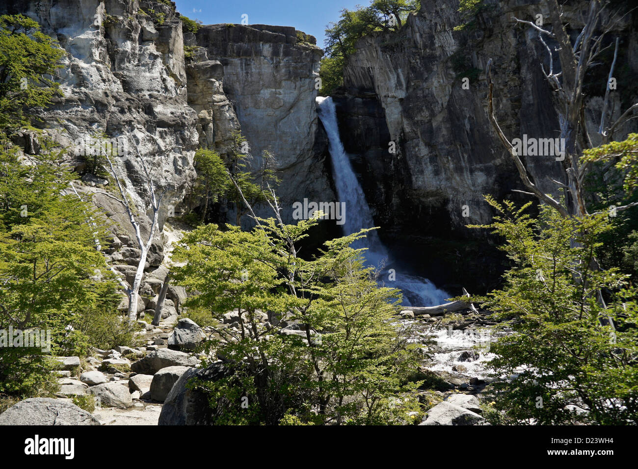 Chorrillo del Salto, Los Glaciares National Park, Patagonia, Argentina Stock Photo