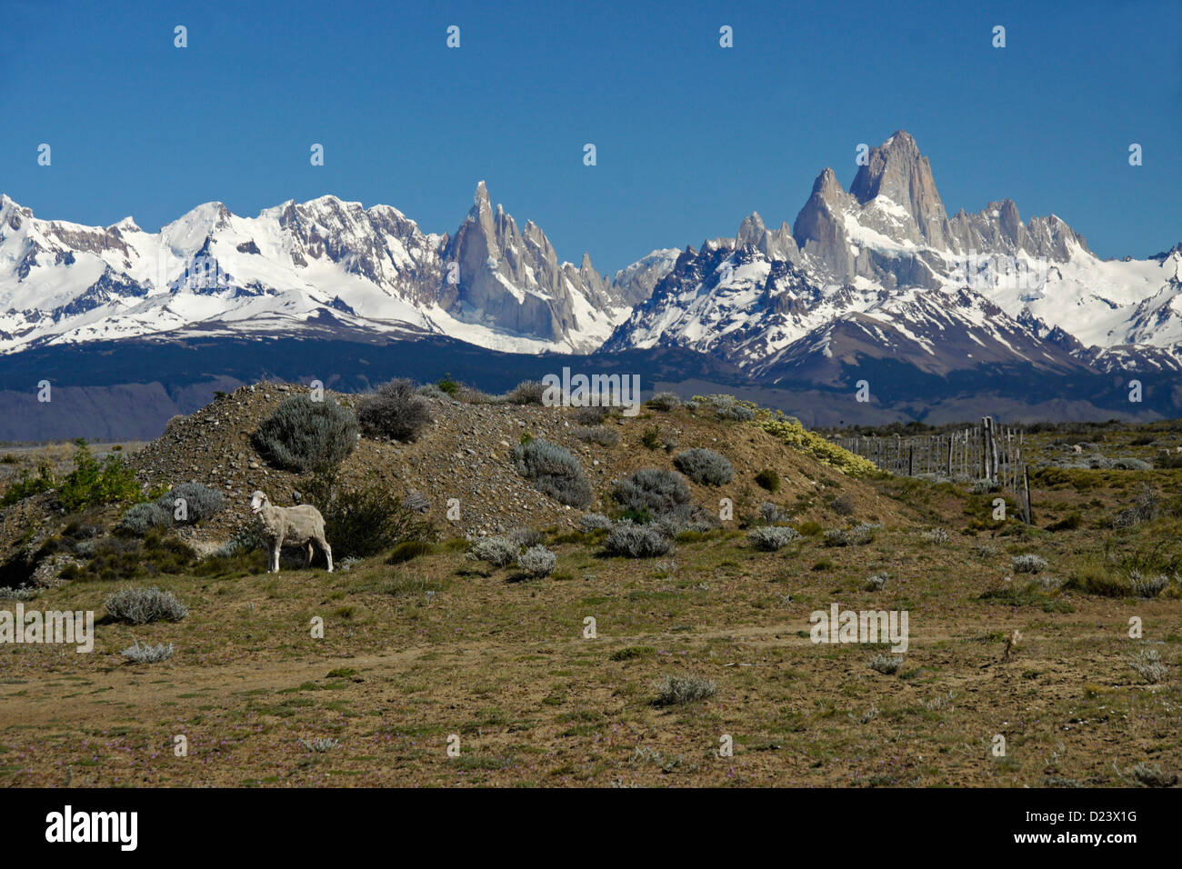 Cerro Torre, Mount Fitz Roy, and Fitz Roy Range of Andes, Los Glaciares NP, Patagonia, Argentina Stock Photo