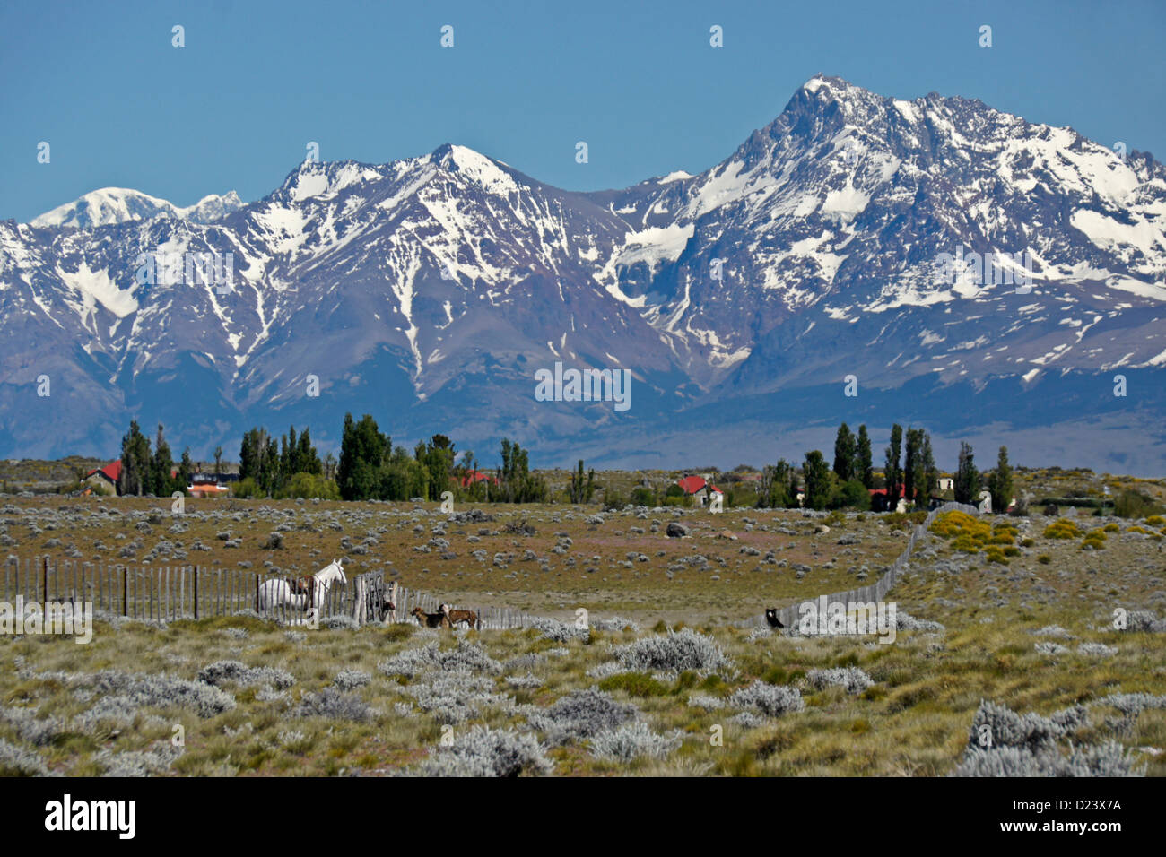 Gaucho, estancia, and Fitz Roy Range of Andes, Los Glaciares NP, Patagonia, Argentina Stock Photo