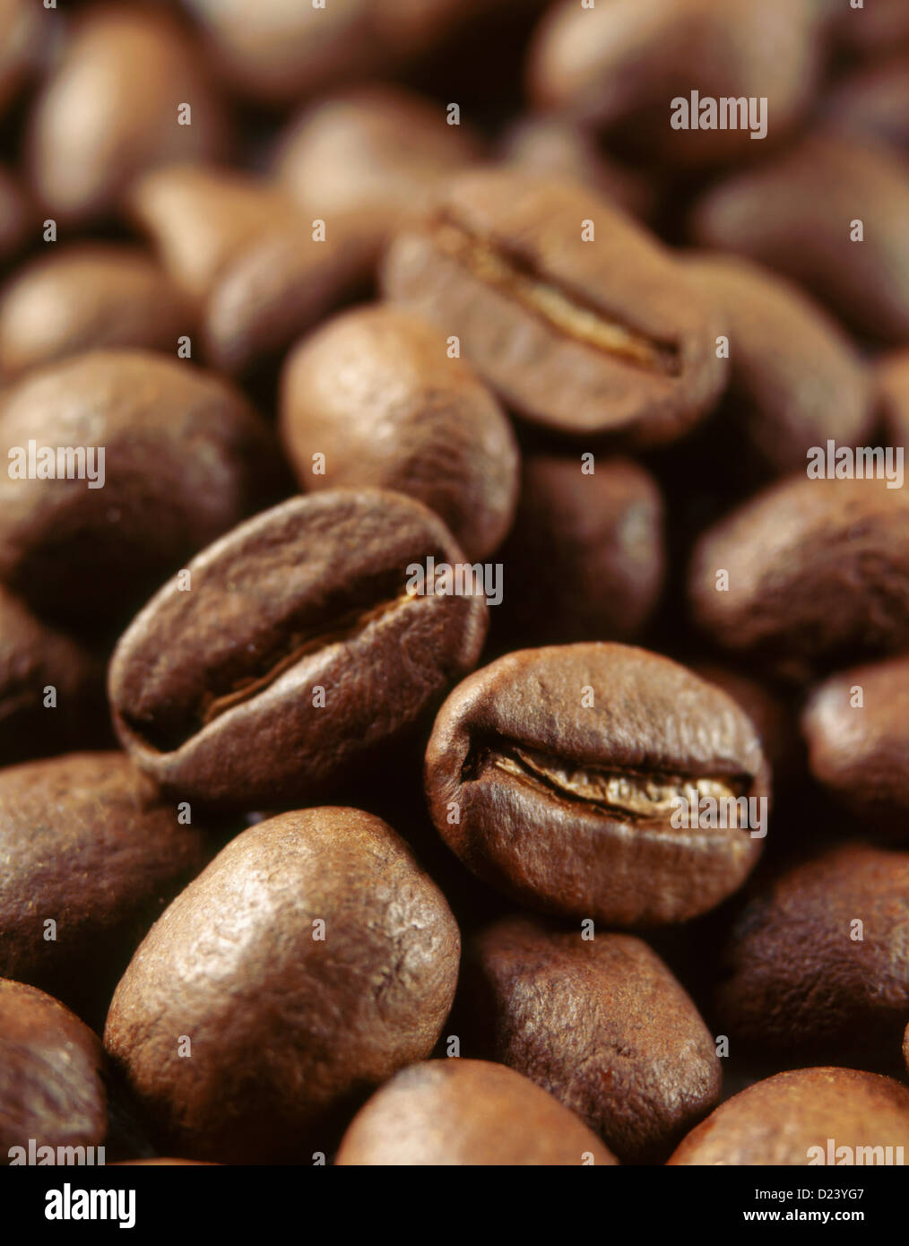 Close-up of coffee beans Stock Photo