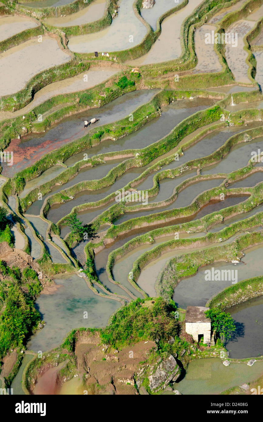 China south yunnan rice fields hi-res stock photography and images - Alamy