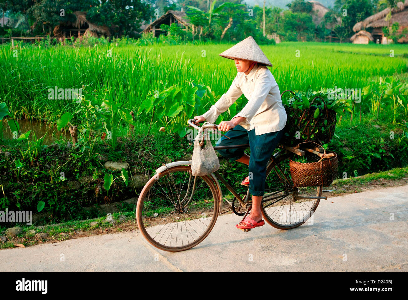 village cycle near me