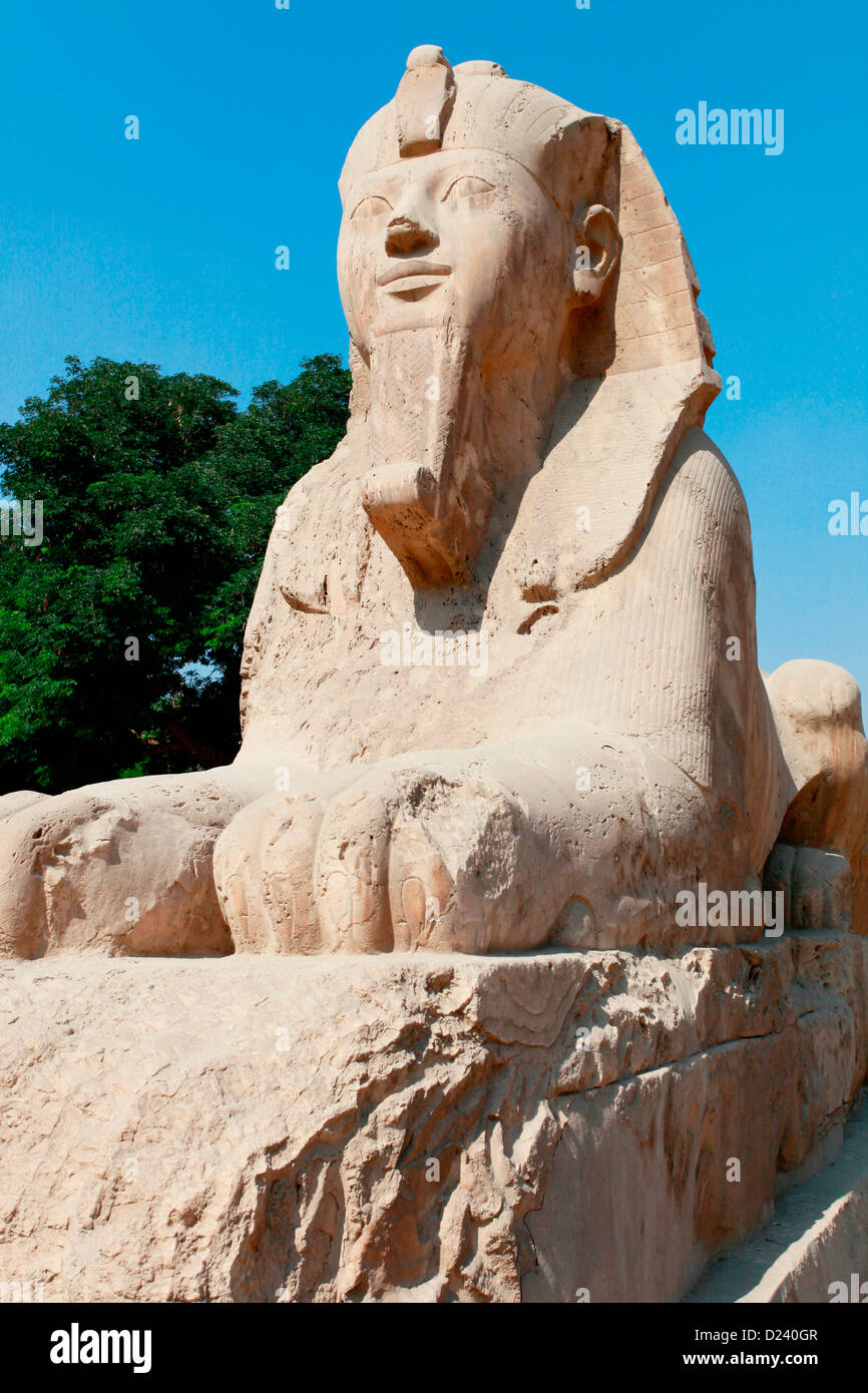 Alabaster Sphinx at the museum in Memphis, near Cairo, Egypt Stock ...