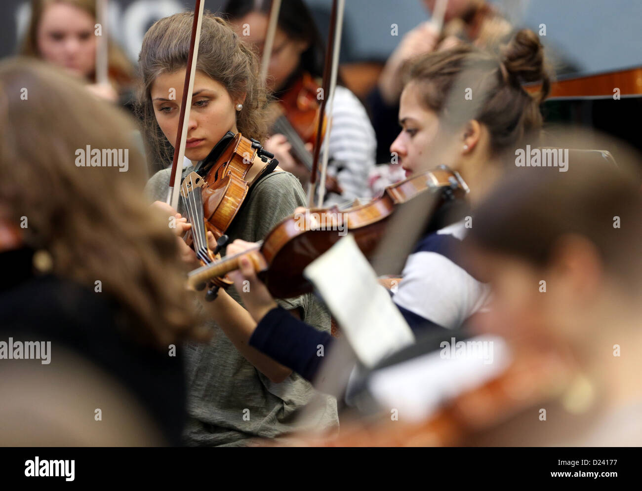 String instruments not people orchestra hires stock photography and
