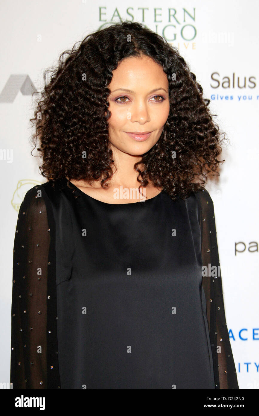 Thandie Newton attends the Cinema For Peace Foundation's 2013 Gala For Humanity at Beverly Hills Hotel on January 11, 2013 in Beverly Hills, California. Stock Photo