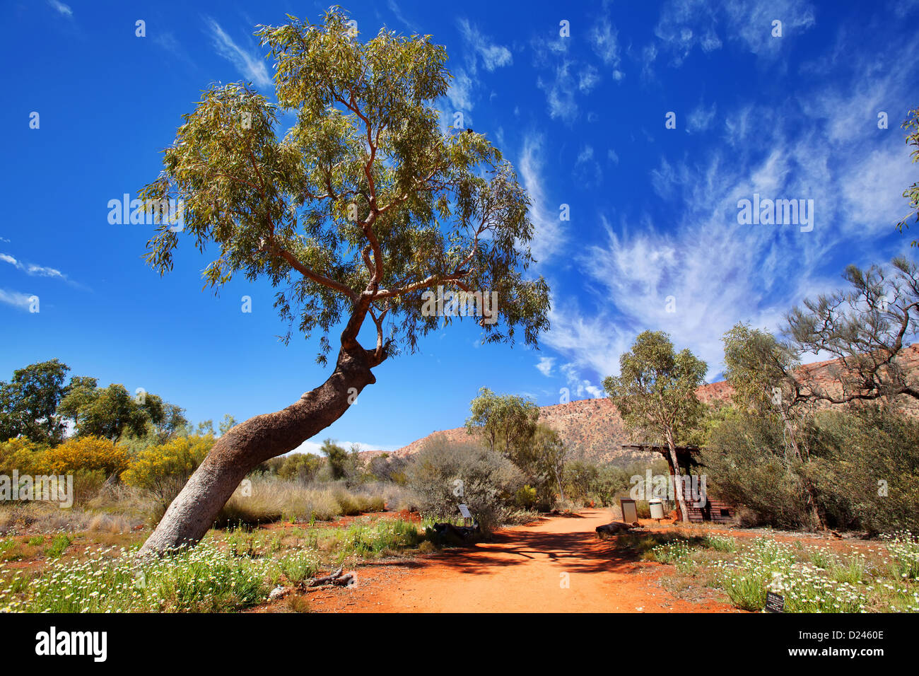 Alice Springs Desert Park Central Australia Northern Territory Stock Photo
