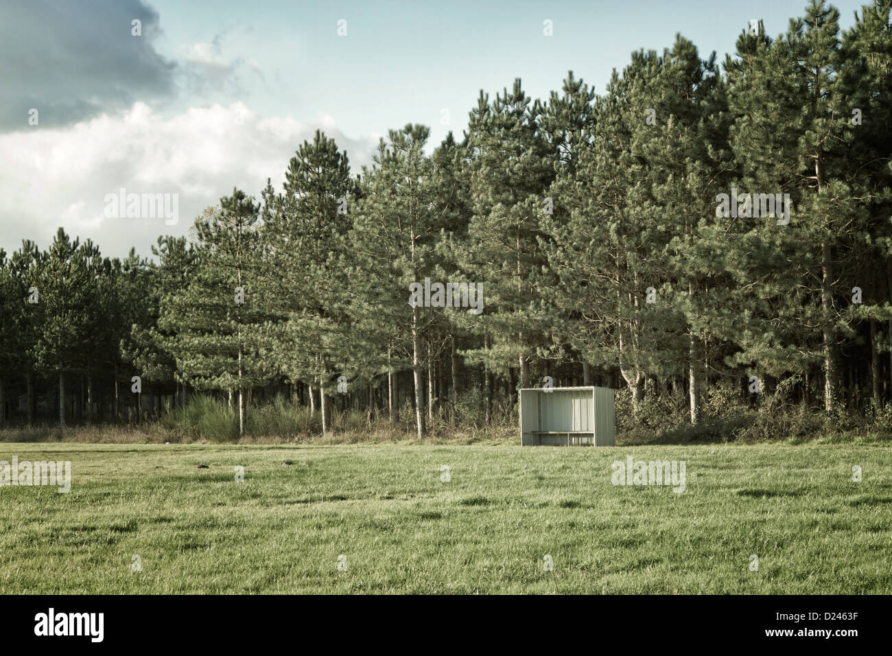 Bus stop on edge of forest. Stock Photo