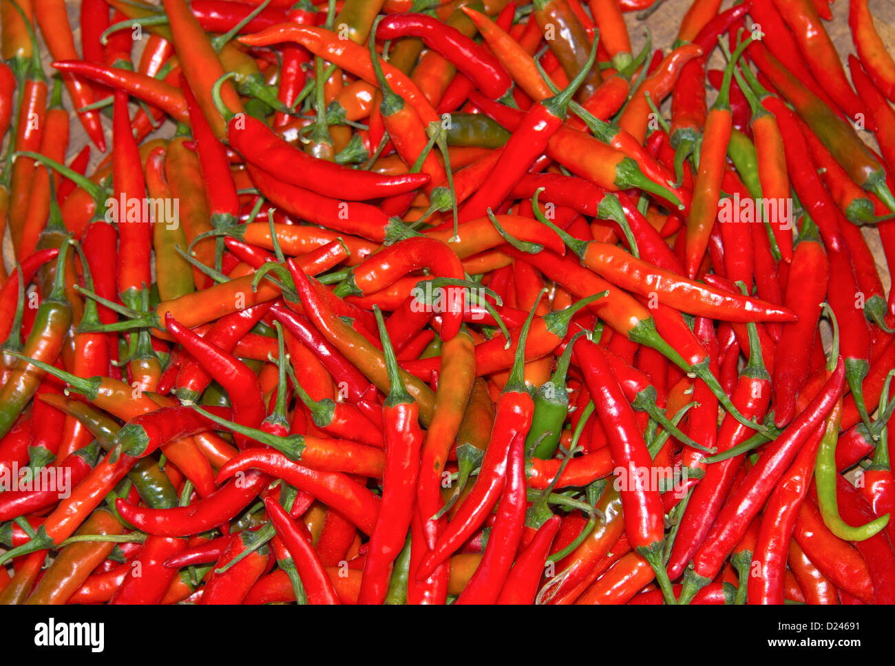 RED HOT CHILLIES FOR SALE MYSORE MARKET INDIA Stock Photo
