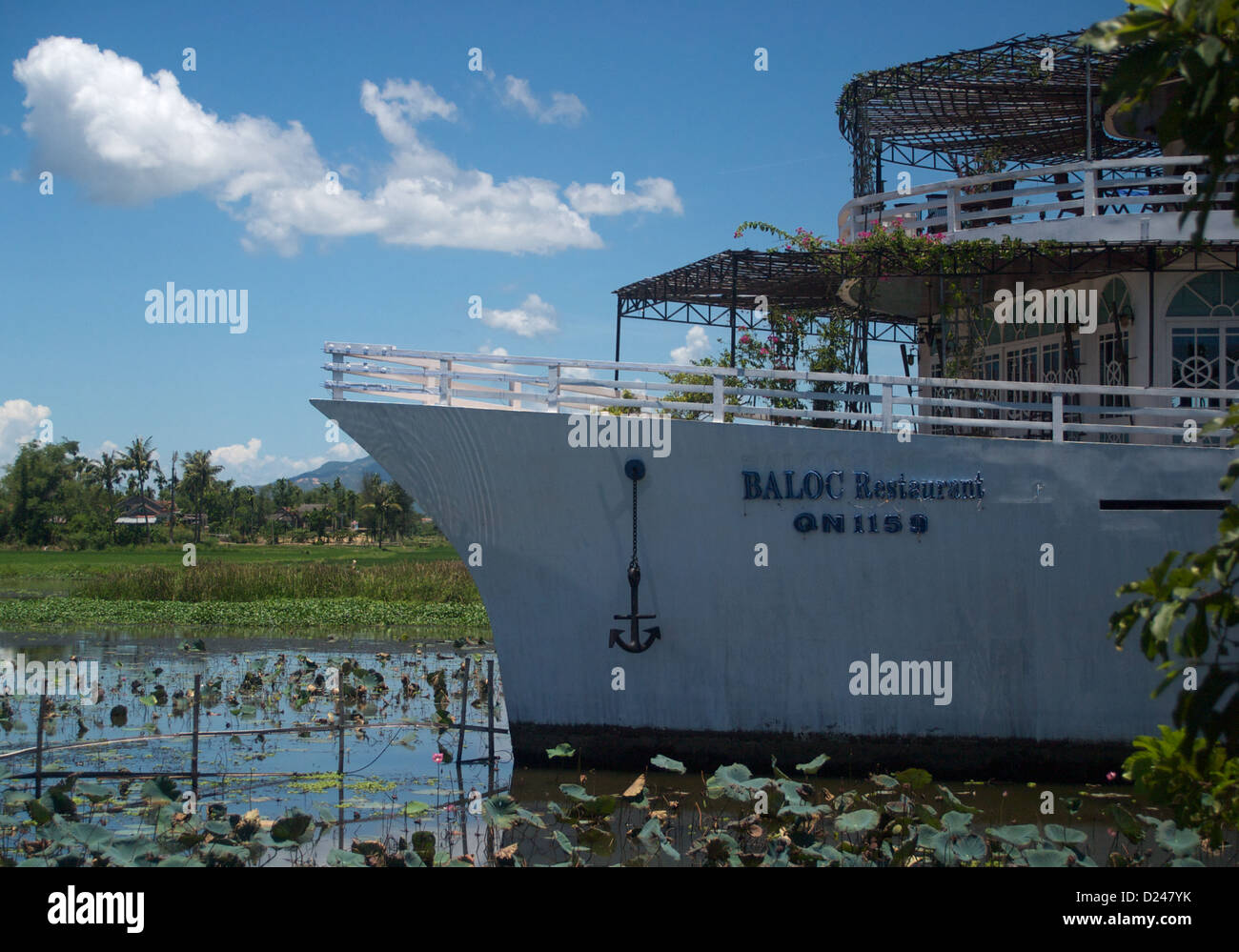 The unusual sight of a restaurant boat moored in a rice field, Hoi An Vietnam Stock Photo