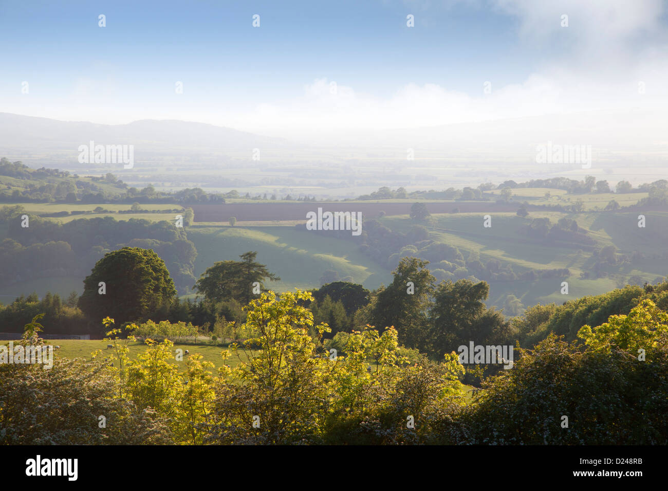 Misty morning over the Gloucestershire and Worcestershire landscape, England Stock Photo