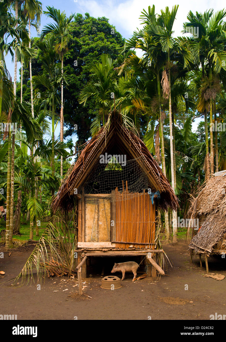Traditional House, Trobriand Islands, Papua New Guinea Stock Photo Alamy