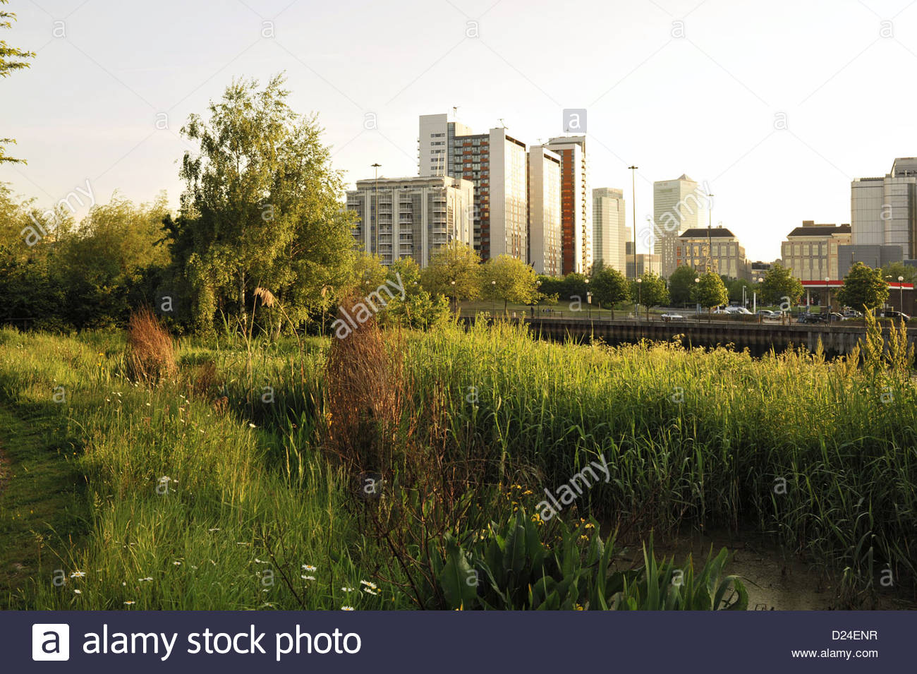 Bow Creek Ecology Park High Resolution Stock Photography and Images - Alamy