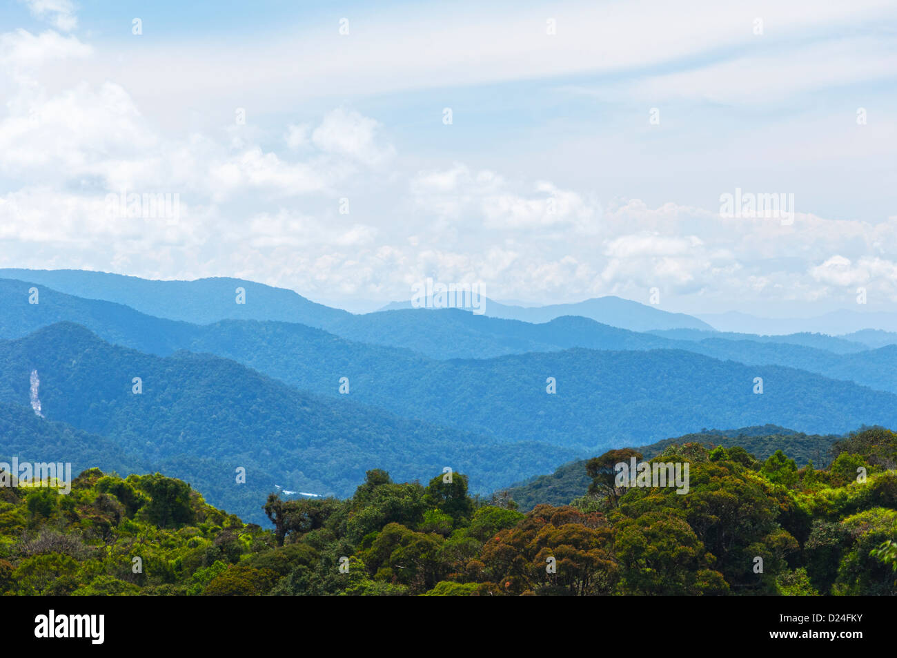 A view of nature with green forest nearby and layers of blue mountains at a distance Stock Photo
