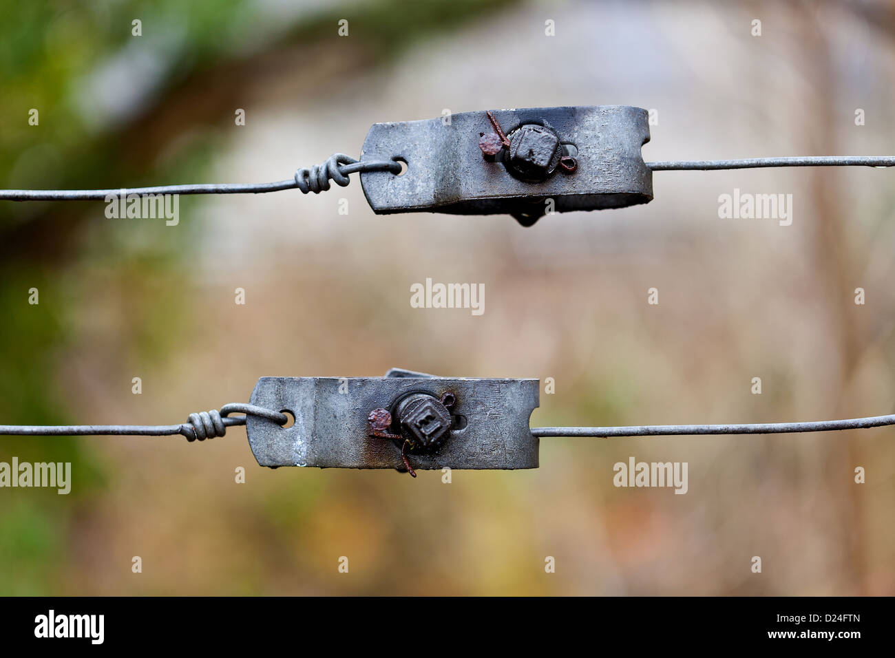 Metal tensioners / joiners on a wire fence Stock Photo