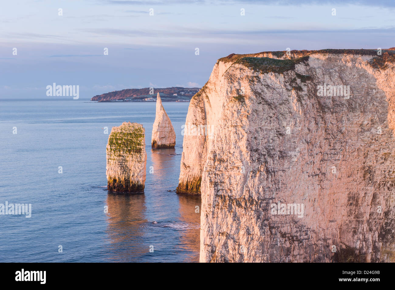 Sunrise at Handfast Point with the Pinnacles the Isle of Purbeck Jurassic Coast Dorset UK Stock Photo